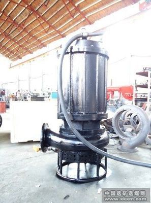 耐磨防堵潛水礦渣泵 選煤設備中的高效解決方案